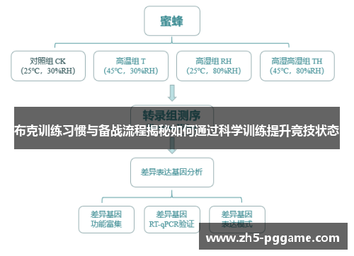 布克训练习惯与备战流程揭秘如何通过科学训练提升竞技状态