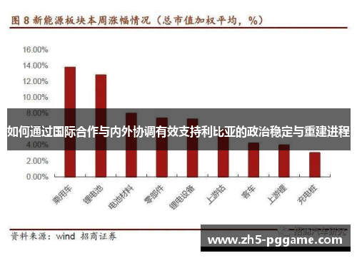 如何通过国际合作与内外协调有效支持利比亚的政治稳定与重建进程