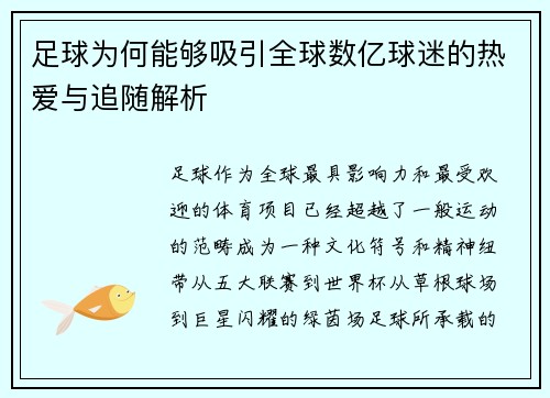 足球为何能够吸引全球数亿球迷的热爱与追随解析