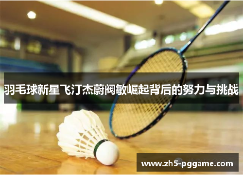 羽毛球新星飞汀杰蔚阀敏崛起背后的努力与挑战